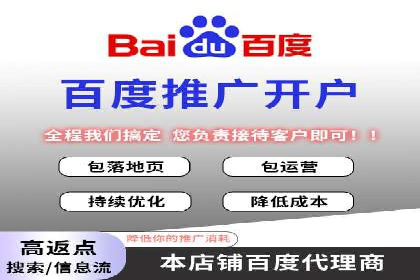 某电商企业如何通过百度竞价广告提升销售额